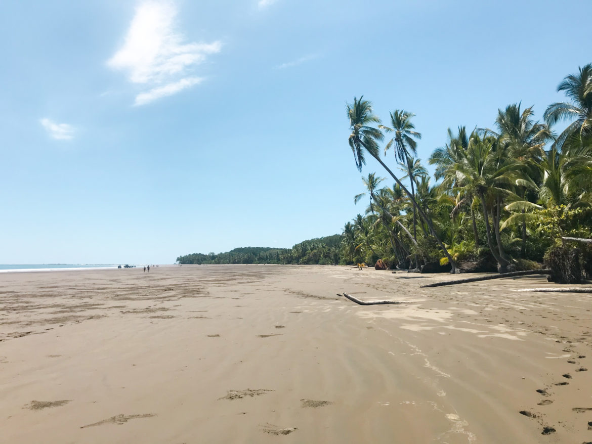 Costa_Rica_Strand_Marino_Ballena